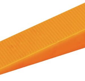wedge coin